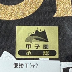 沖縄尚学 高校 優勝 CHAMPION Tシャツ L 沖尚の画像