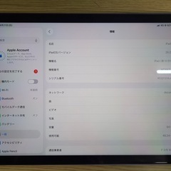 iPad 10世代 Wi﻿-﻿Fi + Cellularモデルの画像