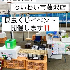 🌈チャリティー昆虫くじイベント開催☘️わいわい市藤沢店✨