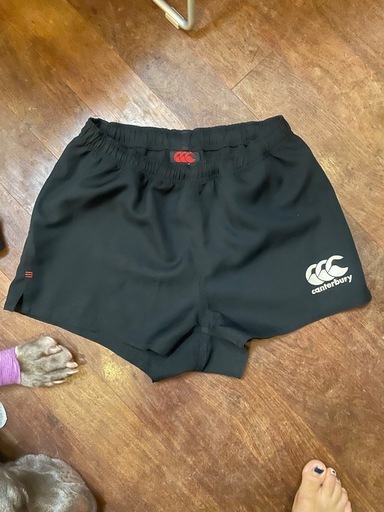 スポーツ Canterbury