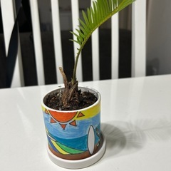 そてつ（蘇轍）の画像