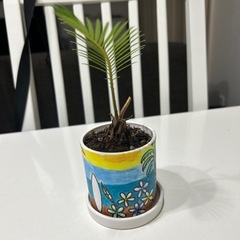 そてつ（蘇轍）の画像
