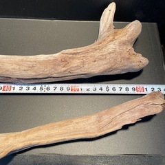 流木 アクアリウム 爬虫類 ハンドメイド の画像
