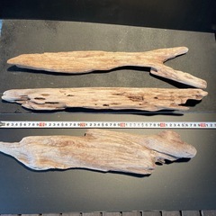 流木 アクアリウム 爬虫類 ハンドメイド の画像