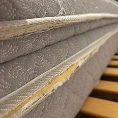 ベット　続きの画像