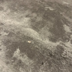 ダイニングテーブル　椅子4脚　セット　美品✨の画像