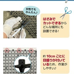 daim 猫よけ 猫除け ここダメシート 幅30cm 5m巻 ここだめシート の画像