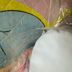 クッションの画像