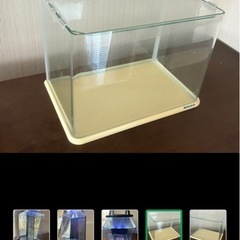 小型
水槽2台の画像