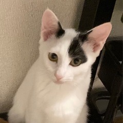 白黒、5月生まれののお転婆な女の子