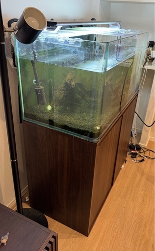 90センチ水槽水槽台フィルターセット　最終値下げ　今月までで終了します 90センチ水槽と水槽台と水換えいらないフィルターなどセット