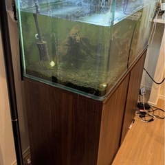 90センチ水槽と水槽台と水換えいらないフィルターなどセットの画像
