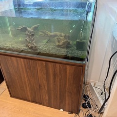 90センチ水槽と水槽台と水換えいらないフィルターなどセットの画像