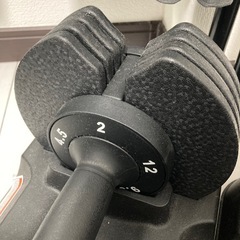 MOJEER可変式ダンベル24㎏(2〜12キロまで重さを変えれます)！の画像