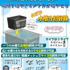 わけぷか黒2個セットの画像