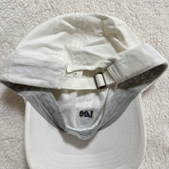 LEE キャップの画像