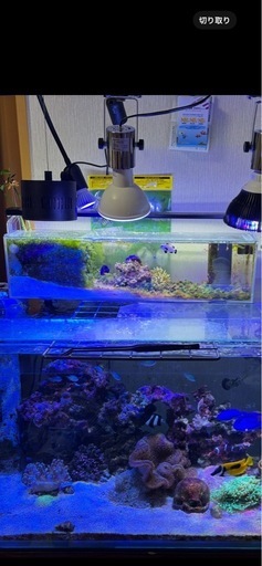 スレンダー水槽600