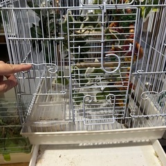 鳥かご　掃除しやすいスライドトレーの画像
