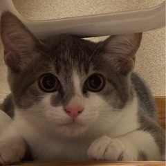 生後3ヶ月のかわい子ちゃん❣️