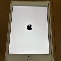  Ipad mini5  256の画像