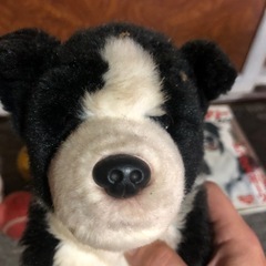 ボーダーコリーぬいぐるみの画像
