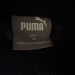 ベンチコート　PUMA 160の画像