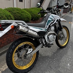 セロー250の画像
