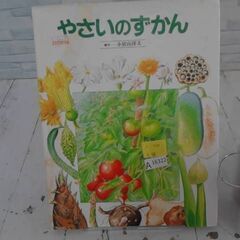  やさいのずかん 小宮山洋夫による本　A16322の画像