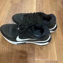 NIKE ナイキ　25.5
の画像