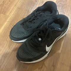 NIKE ナイキ　25.5
の画像