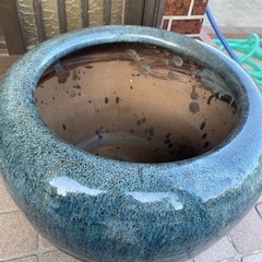 火鉢　金魚　メダカ鉢🐠の画像