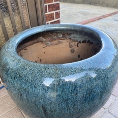 火鉢　金魚　メダカ鉢🐠の画像