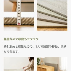 【新品】カットできる 置き畳 琉球畳 - ベージュの画像