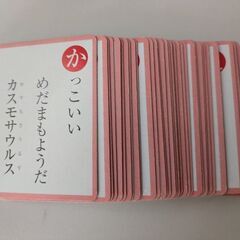 恐竜カルタ　箱無しの画像