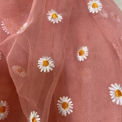 レーストートバック２つの画像