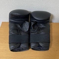 TOPKING ボクシンググローブの画像