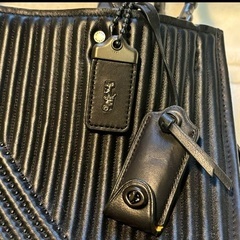 【希少】coach コーチ　レザー　ショルダーバッグ　ハンドバッグ　キーケースの画像