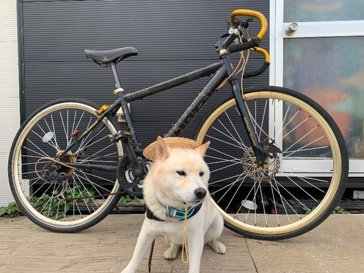 DOPPEL GANGER  ロードバイク　ドッペルギャンガ－