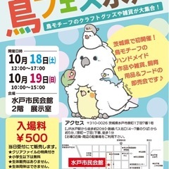 鳥フェス行きませんか？