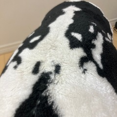 牛　座れるぬいぐるみ　スツールの画像