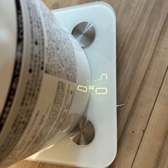 手で塗るモルモルの画像