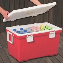 蓋が外せるクーラーボックス（約45L）の画像
