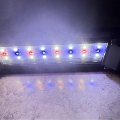 コトブキ フラット2032 LEDライト  美品の画像