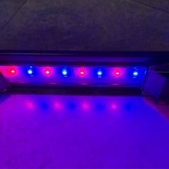 コトブキ フラット2032 LEDライト  美品の画像