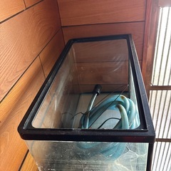 水槽
の画像