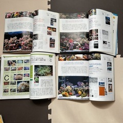 コーラルフィッシュ　雑誌の画像