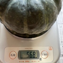 無農薬　かぼちゃ　２個の画像