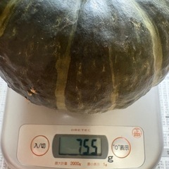 無農薬　かぼちゃ　２個の画像