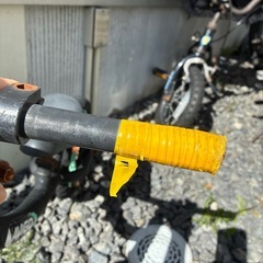 AVIGO ストライダーの画像