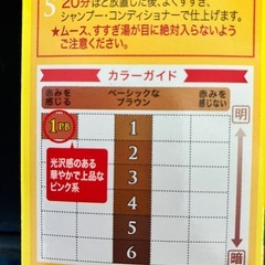 お得！❣️CIELO ムースカラー 白髪用　1PB(ピンクベージュ) 2箱セットの画像